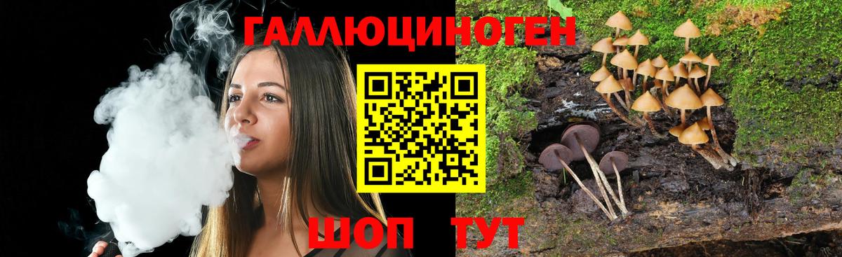 Псилоцибиновые грибы мицелий  Галлюциногенные грибы мицелий  где продают наркотики  Коломна  Вход с VPN 